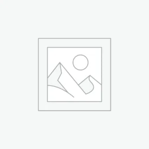 Golden Bag With Chain